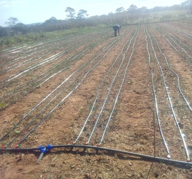 Solar Panel Installation